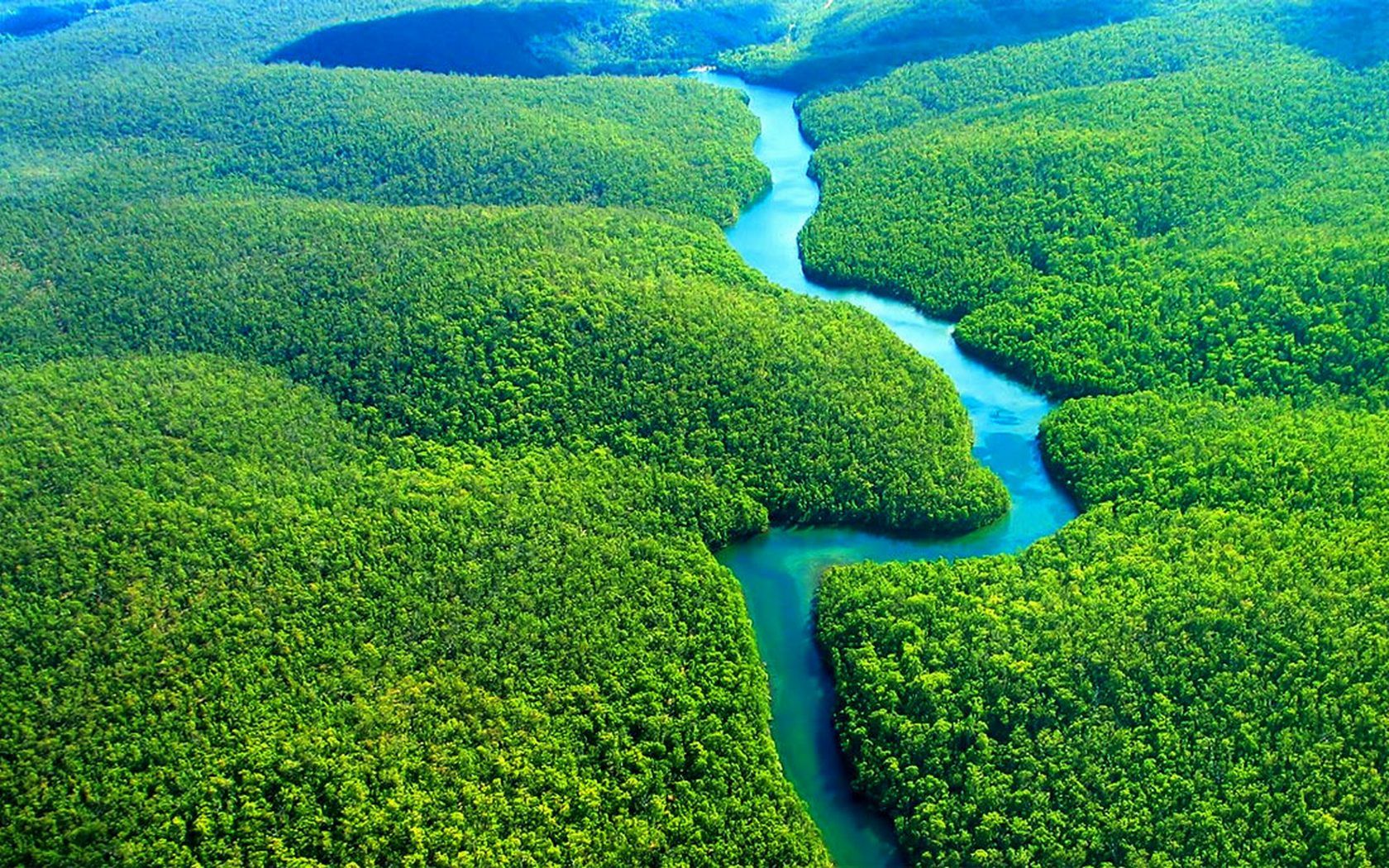 Amazon Rainforest River - Brazil